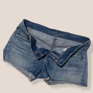 Citizens of Humanity Denim Shorts